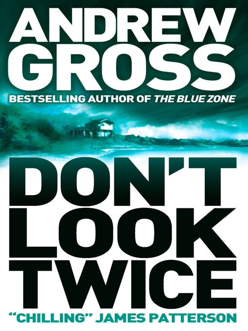 Title details for Don't Look Twice by Andrew Gross - Wait list
